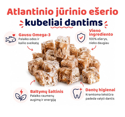 Šuns dantų priežiūrai žuvies kubeliai