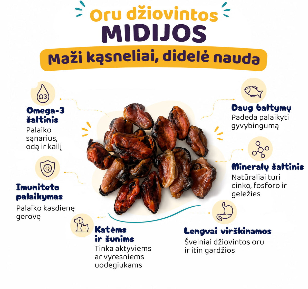Midijų skanukai šunims ir jų nauda