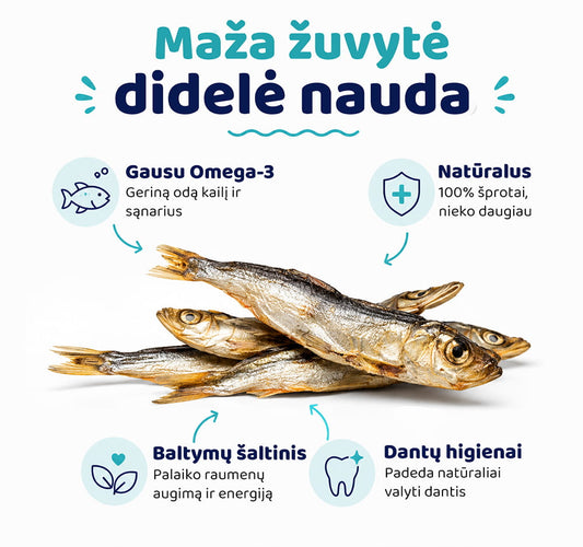 80 g džiovintų Baltijos šprotų pakuotė su natūraliais žuvies skanėstais šunims ir katėms.