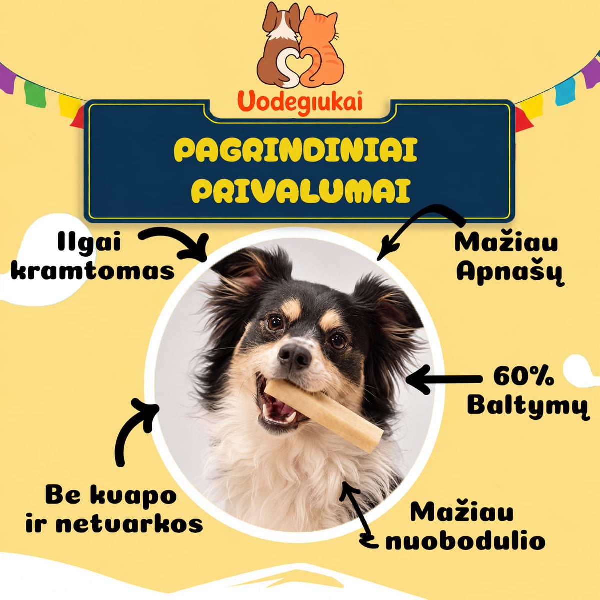 Yak sūrio kramtukas šunims