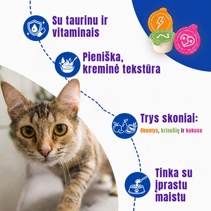 Pieniniai kremiukai katėms
