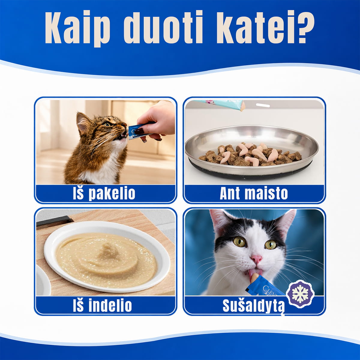 Kaip duoti katei kreminį skanuką
