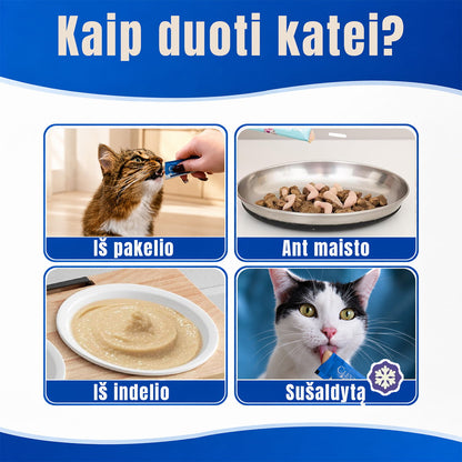 Kaip duoti katei kreminį skanuką