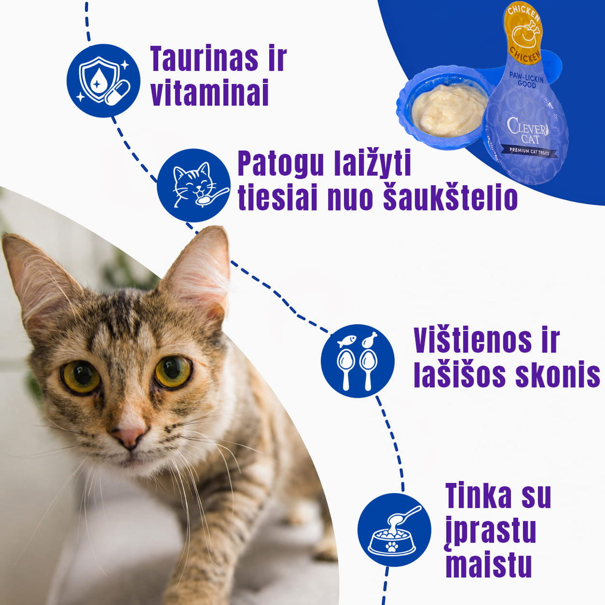 kremiukai šaukštelyje katėms
