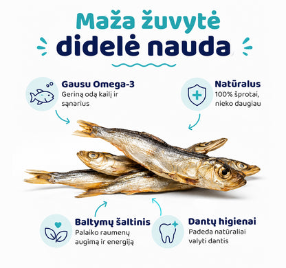 Šprotų skanukų nauda šunims
