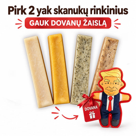 Yak kramtukai su dovana