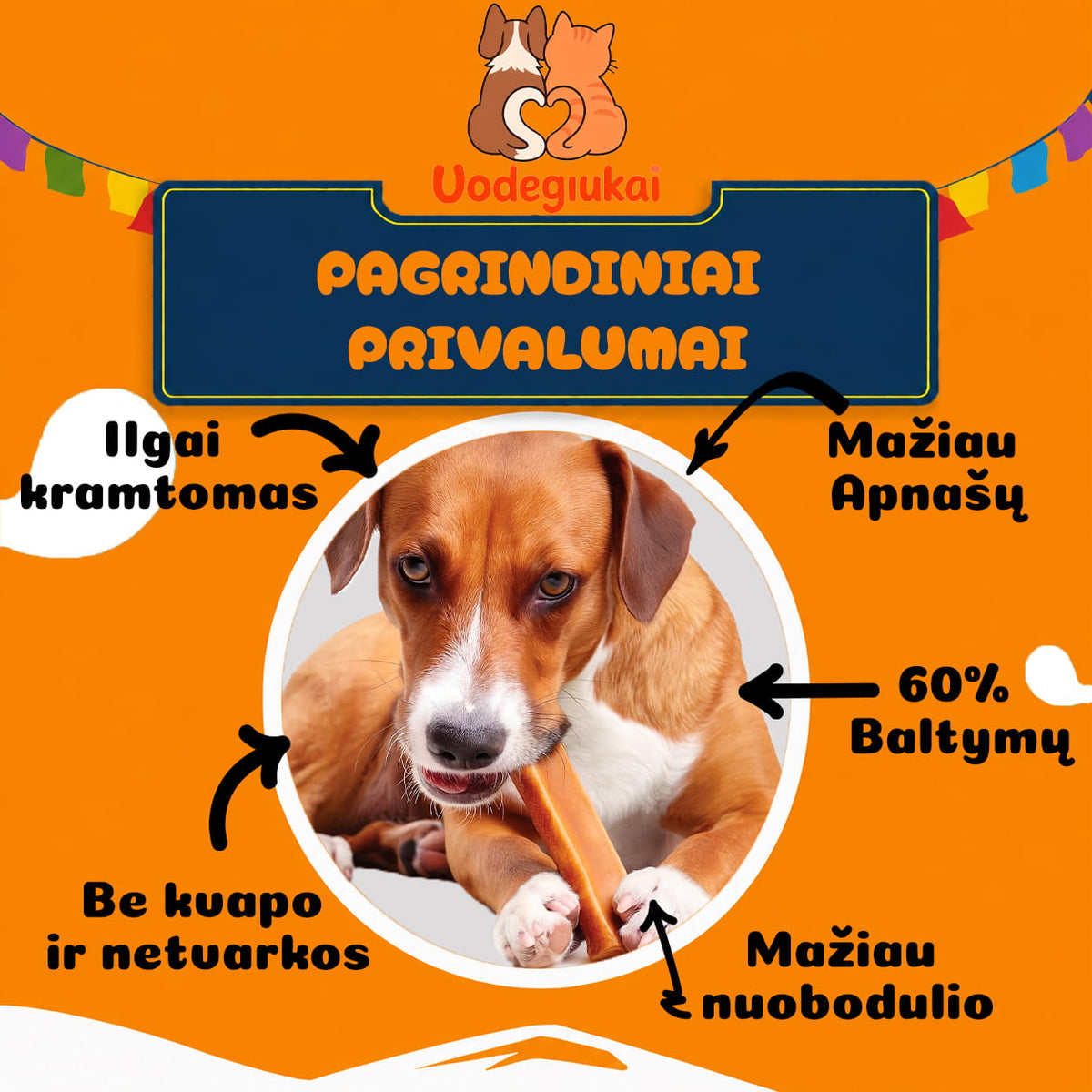 Yak su ciberžole privalumai